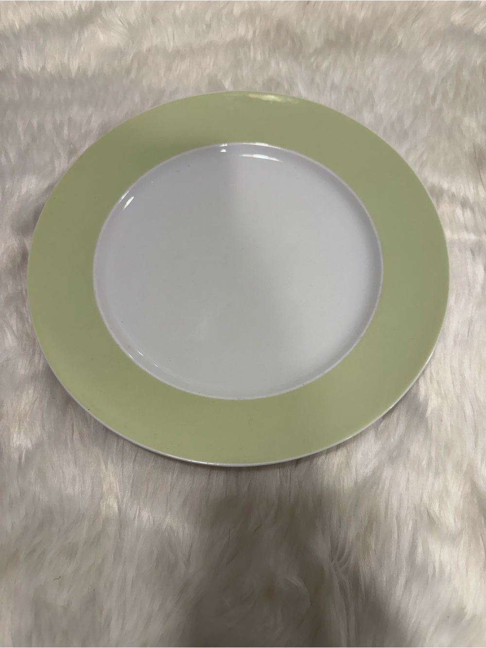 Thomas Rosenthal Classic Ceramic Dinner Plate Light Green Rim Sunny Day Germany